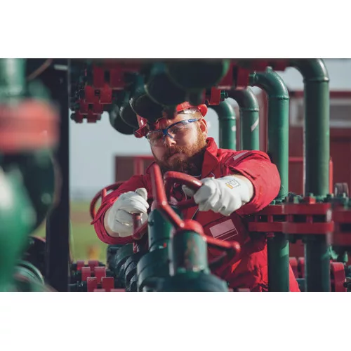 PALLIDA akasztófüle - 8