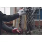 REDWING vágásbiztos kesztyű  latex - 11