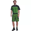 STANMORE rövidnadrág zöld/fekete 62