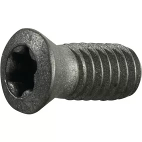   T15-ös szorítócsavar TCGX 1635 M4 menethosszúság 9mm letörési maróhoz PROMAT/TECWERK