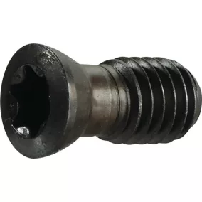   US 4511 T20 méretű szorítócsavar SEKT/SEET 1204-hez PROMAT/TECWERK homlokmaróhoz