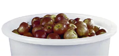 Vödör, hdpe natúr, acél fogantyú, űrtartalom 20 l, átmérő x magasság 380 x 280 mm, 2 db-os csomag