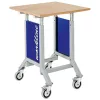 Mobil munkaasztal fokozatmentes magasságállítással, széxméxma 750x750x980-1250 mm, ral 7035/5013