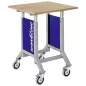   Mobil munkaasztal fokozatmentes magasságállítással, széxméxma 750x750x980-1250 mm, ral 7035/5013