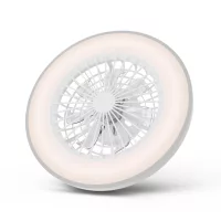 Ventilátoros mennyezeti lámpa
