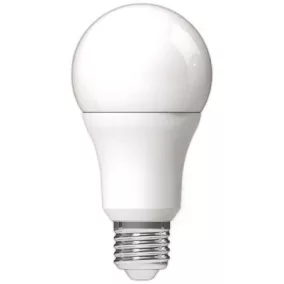 LED izzó, E27, gömb, A60, 8W, 806lm, 3000K, AVIDE