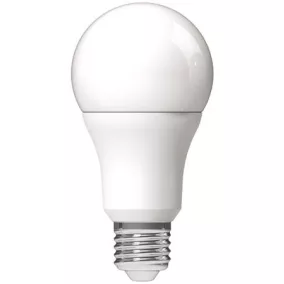 LED izzó, E27, gömb, A60, 9,5W, 1055lm, 3000K, AVIDE