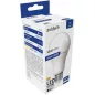 LED izzó, E27, gömb, A60, 13W, 1521lm, 6400K, AVIDE