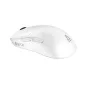   Egér, tri-mode kapcsolat, gaming, AVAX "LW02 PRO", fehér