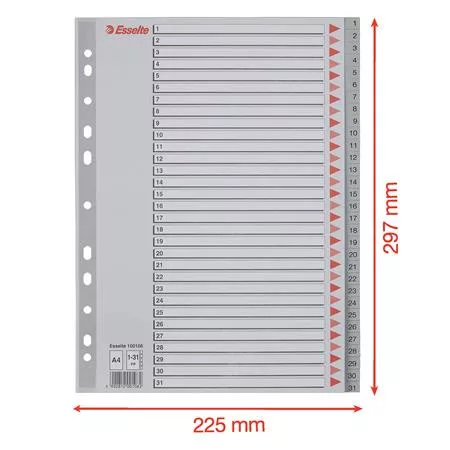 Regiszter, műanyag, A4, 1-31, ESSELTE, szürke