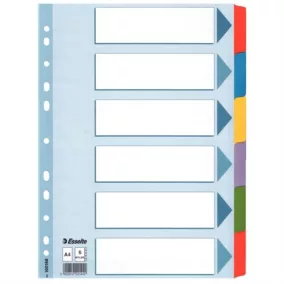   Regiszter, laminált karton, A4, 6 részes, ESSELTE "Mylar"