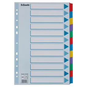   Regiszter, laminált karton, A4, 12 részes, ESSELTE "Mylar"