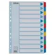 Regiszter, laminált karton, A4, 12 részes, ESSELTE "Mylar"