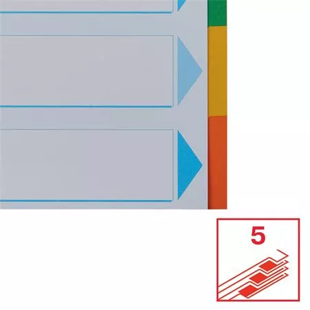 Regiszter, karton, A4, 5 részes, írható előlappal, ESSELTE "Standard", színes