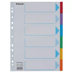  Regiszter, karton, A4, 6 részes, írható előlappal, ESSELTE "Standard", színes