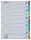 Regiszter, karton, A4, 10 részes, írható előlappal, ESSELTE "Standard", színes