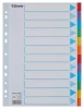 Regiszter, karton, A4, 12 részes, írható előlappal, ESSELTE "Standard", színes