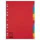 Regiszter, karton, A4, 12 részes, ESSELTE "Economy", színes