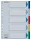 Regiszter, műanyag, A4, 5 részes, ESSELTE