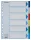 Regiszter, műanyag, A4, 6 részes, ESSELTE