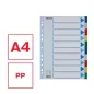 Regiszter, műanyag, A4, 10 részes, ESSELTE
