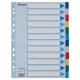 Regiszter, műanyag, A4, 12 részes, ESSELTE