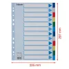 Regiszter, műanyag, A4, 12 részes, ESSELTE