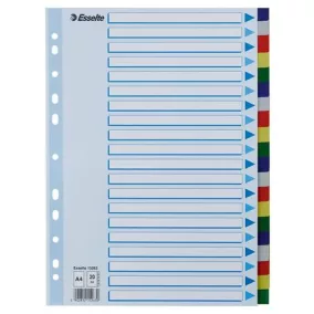 Regiszter, műanyag, A4, 20 részes, ESSELTE