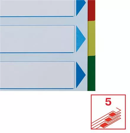 Regiszter, műanyag, A4 Maxi, 5 részes, ESSELTE