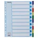 Regiszter, műanyag, A4 Maxi, 10 részes, ESSELTE