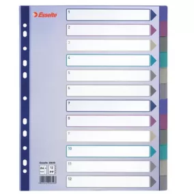 Regiszter, műanyag, A4 Maxi, 12 részes, ESSELTE, színes
