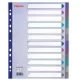 Regiszter, műanyag, A4 Maxi, 12 részes, ESSELTE, színes