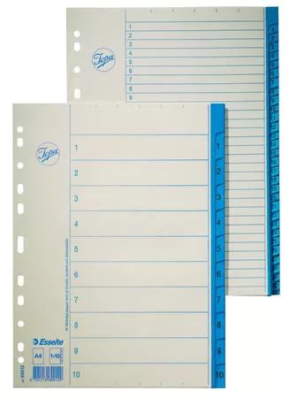 Regiszter, karton, A4, 1-12, ESSELTE, fehér