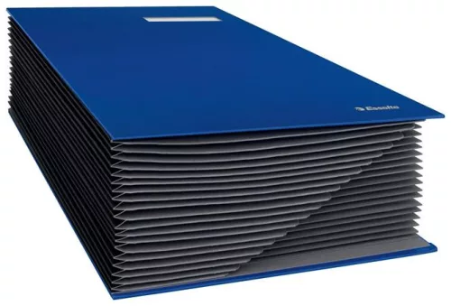 Aláírókönyv, A4, 20 részes, karton, ESSELTE, kék