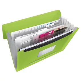   Harmonikamappa, A4, PP, 6 rekeszes, ESSELTE "Vivida", zöld