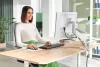 Monitortartó-kar, egy monitorhoz, LEITZ "Ergo", világosszürke