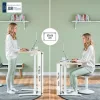 Ülő/álló laptop asztal, LEITZ "Ergo"