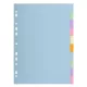 Regiszter, karton, A4, 10 részes, EXACOMPTA, pasztell színek