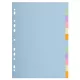 Regiszter, karton, A4, 12 részes, EXACOMPTA, pasztell színek