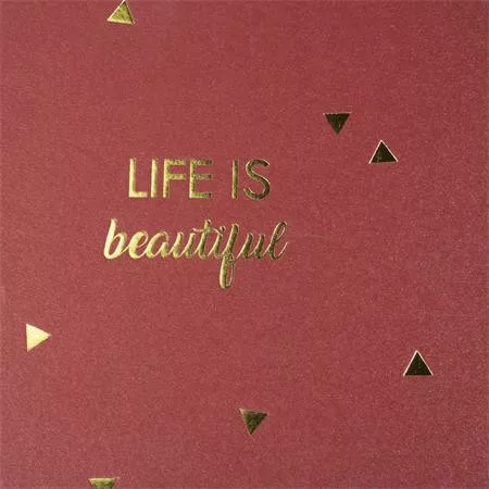 Fotóalbum, spirál, 32x22 cm, 25 lap, EXACOMPTA "Life", piros