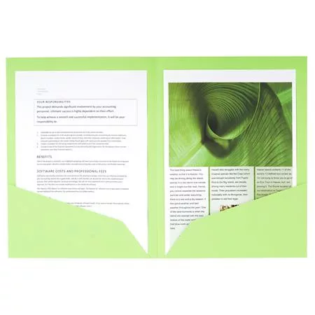 Irattároló mappa, 2 zsebes, A4, 25 db, EXACOMPTA "Rock's", 5 különböző szín