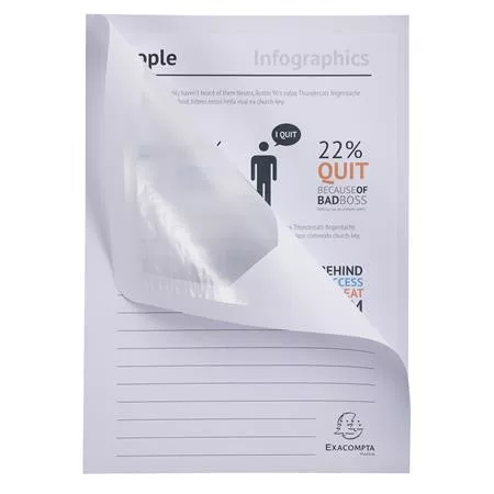 Mappa, ablakos, karton, EXACOMPTA "Forever®", fehér