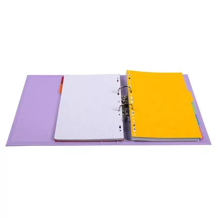 Iratrendező, 50 mm, A4, PVC, EXACOMPTA, lila