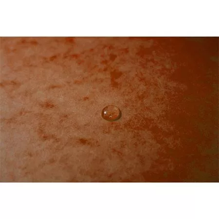 Gumis mappa, prespán, A4, EXACOMPTA, narancs