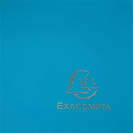 Gumis mappa, PP, A4, EXACOMPTA "Opak", zöld