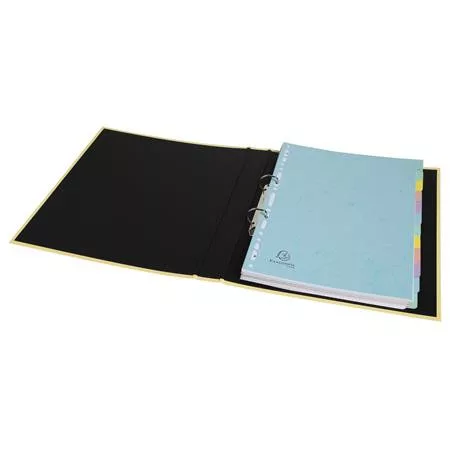 Regiszter, karton, A4, 12 részes, EXACOMPTA "Aquarel"