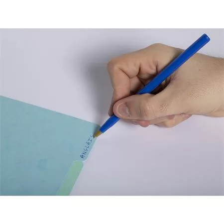 Regiszter, karton, A4, 12 részes, EXACOMPTA "Aquarel"