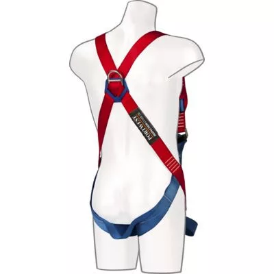 Portwest 2 pontos testheveder