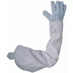 HEGESZTŐ KARVÉDŐ - CSATOS