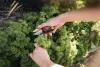 Fűszervágó olló, FISKARS "Solid™ SP220"